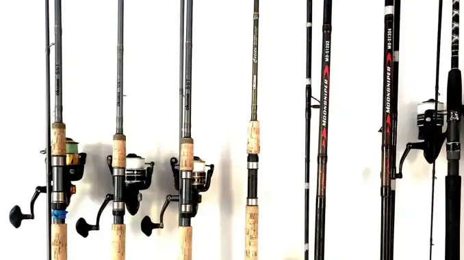 The 7 Best Fishing Rods For Surf Fishing