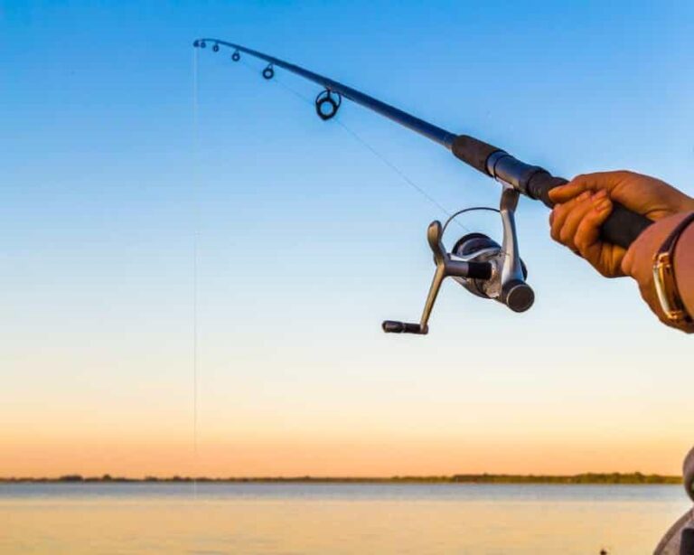 7 Best Ultralight Fishing Rods Catch More With The Best!