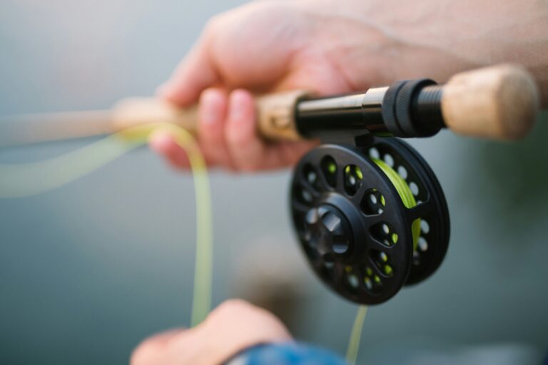 5 Best Fishing Rod And Reel Combo For Beginners