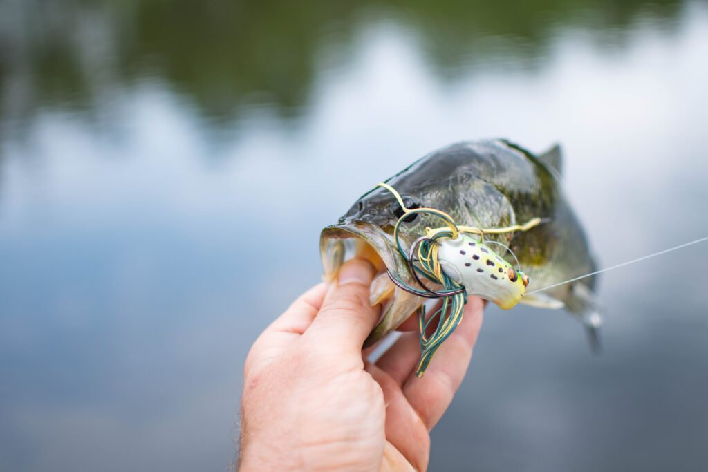 How to Set Up A Fishing Pole For Bass Fishing 1024x683 1