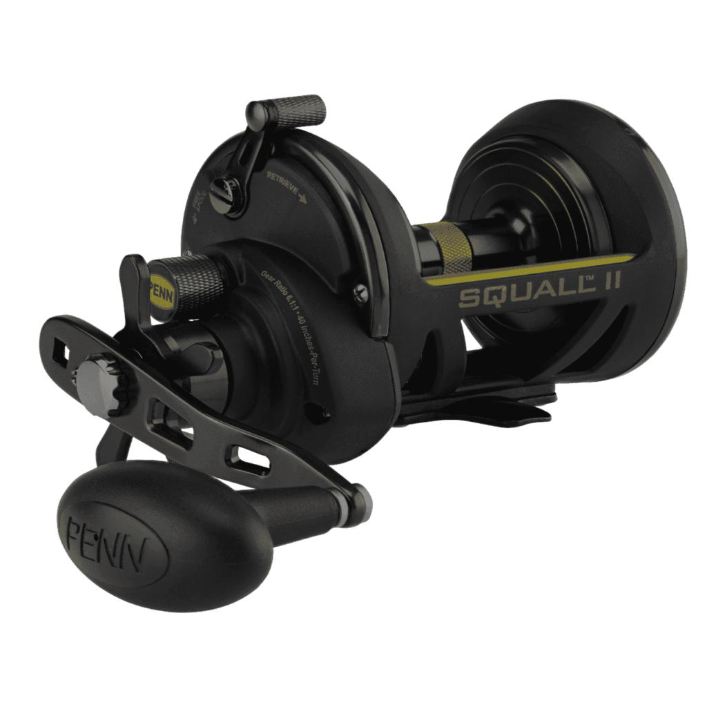 PENN Squall II Star Drag Conventional Fishing Reel by fishingblaze.com