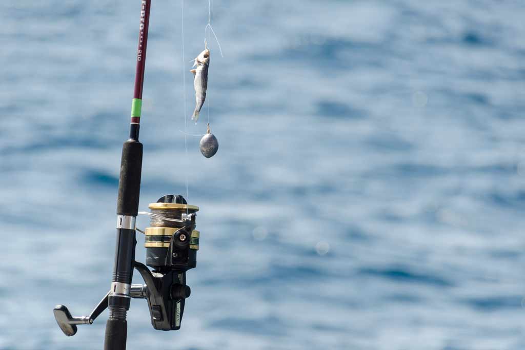 Surf Fishing Rod And Reel Setup 1