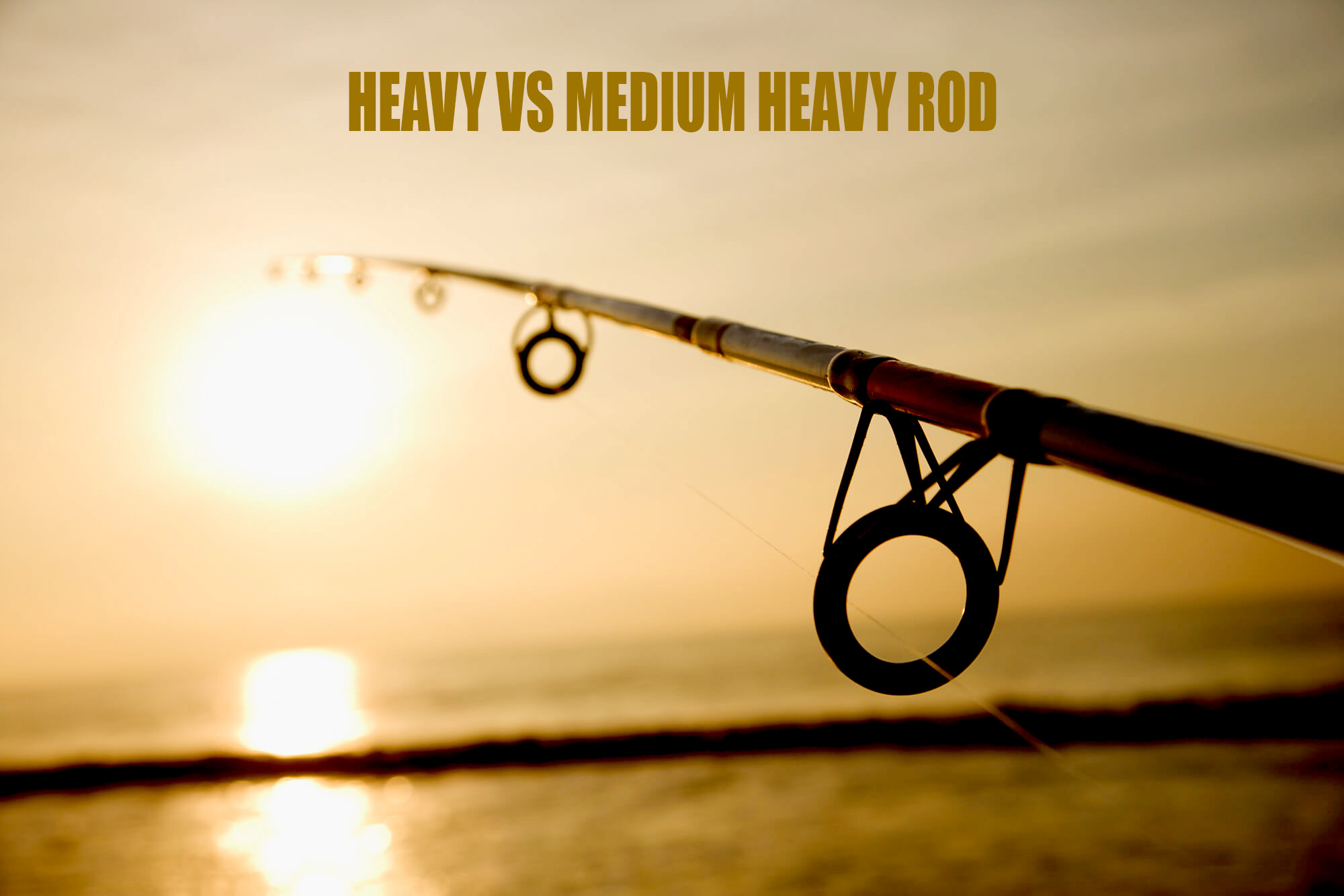 Heavy vs. Medium-Heavy Rods Comprehensive Guide 