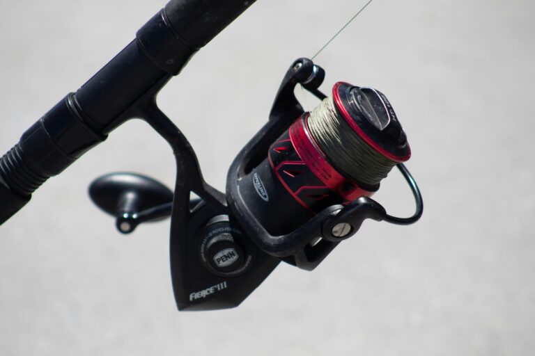7 Best 1000 Size Spinning Reel Reviewed