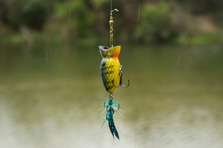 Bass Fishing Lures And When To Use Them fishingblaze.com