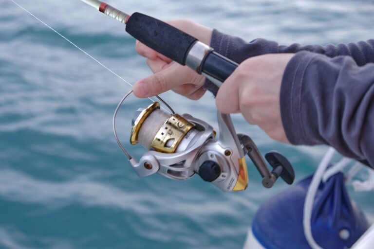 5 Best Surf Fishing Rod And Reel Combos (10 ft)