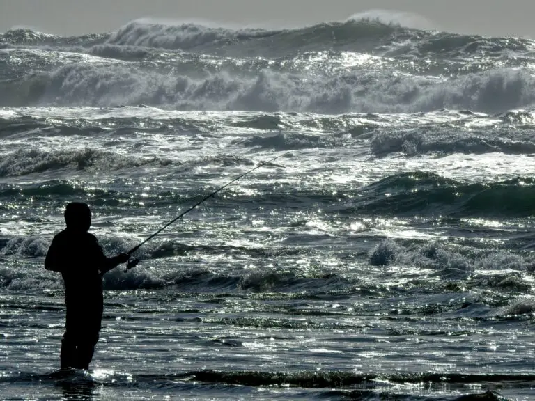 What Type Of Rod And Reel For Surf Fishing