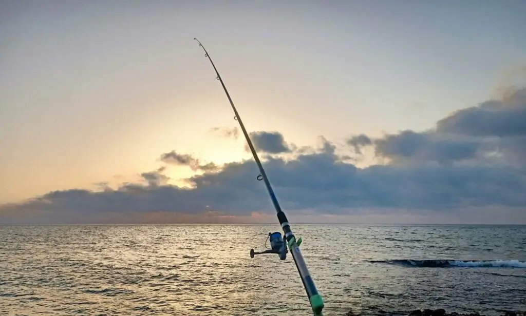 What Type Of Rod And Reel For Surf Fishing fishingblaze.com 2