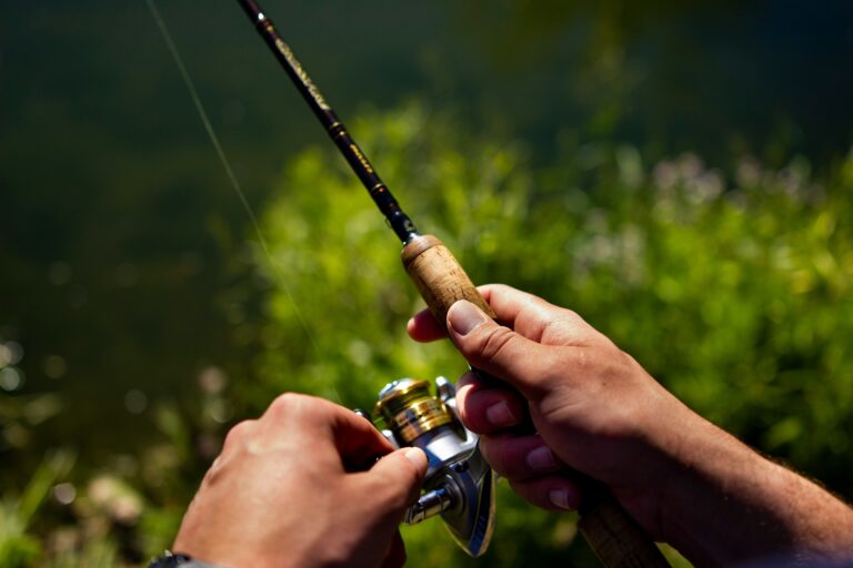 What Type of Rod And Reel For Bass Fishing