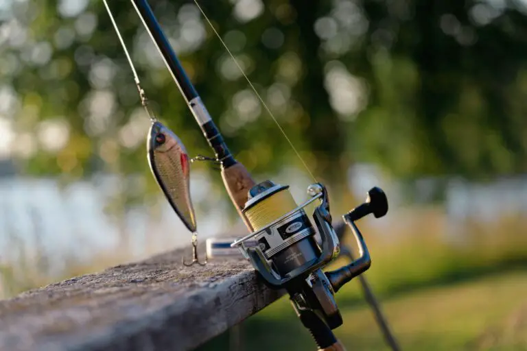 8 Best Reels For Walleye Fishing