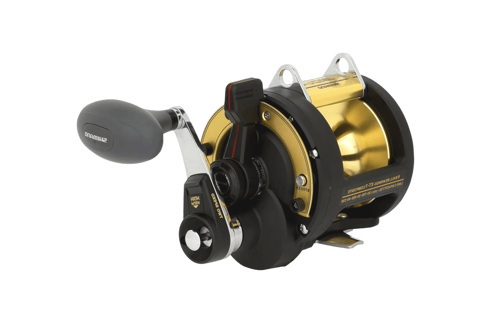 Shimano TLD 2 Speed Conventional Reel fishingblaze.com Photoroom.png Photoroom