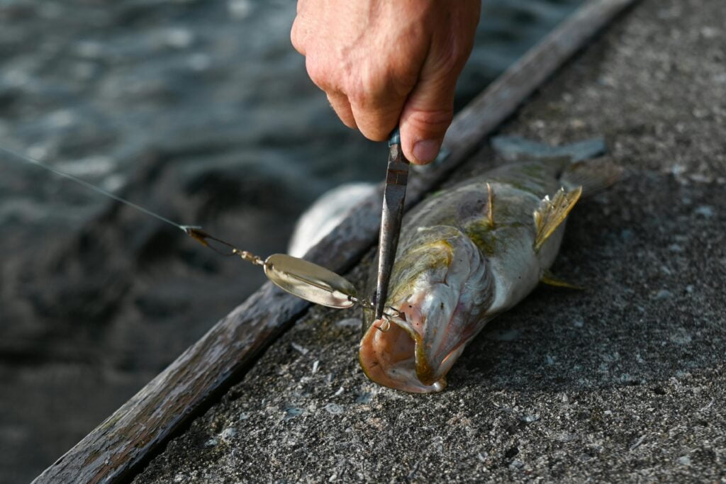 Spinnerbaits for Smallmouth Bass A Comprehensive Guide fishingblaze.com