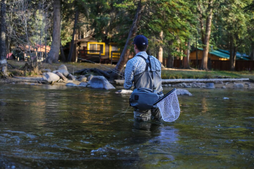 What Type OF Line For Walleye Fishing fishingblaze.com